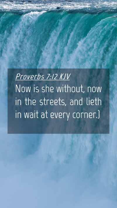 Picture 04 - Proverbs 7:12 KJV Mobile Phone Wallpaper - Now is she without, now in the streets, and lieth - Mobile Bible Verse Wallpaper