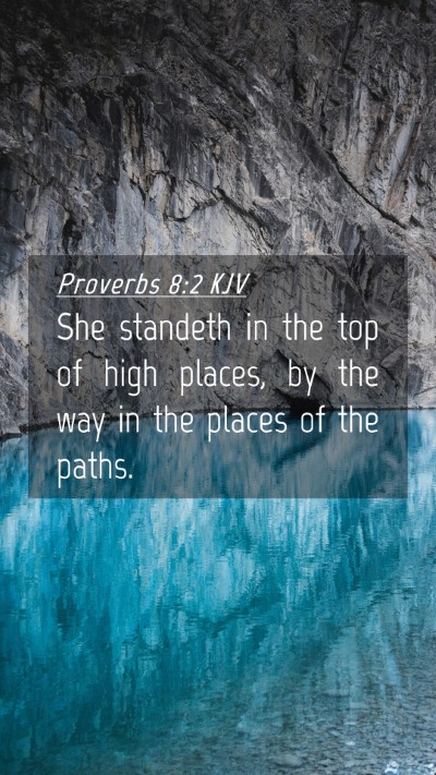Picture 04 - Proverbs 8:2 KJV Mobile Phone Wallpaper - She standeth in the top of high places, by the - Mobile Bible Verse Wallpaper