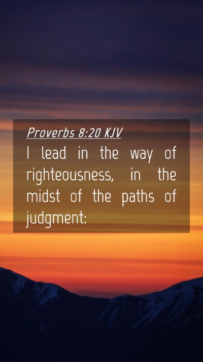 Picture 04 - Proverbs 8:20 KJV Mobile Phone Wallpaper - I lead in the way of righteousness, in the midst - Mobile Bible Verse Wallpaper
