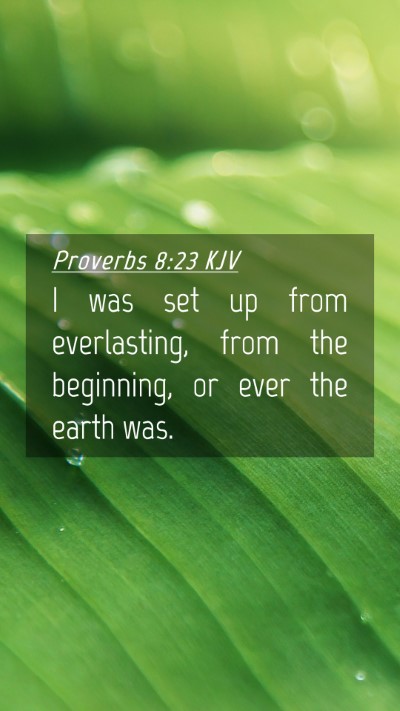 Picture 04 - Proverbs 8:23 KJV Mobile Phone Wallpaper - I was set up from everlasting, from the - Mobile Bible Verse Wallpaper
