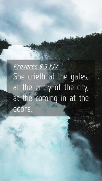 Picture 04 - Proverbs 8:3 KJV Mobile Phone Wallpaper - She crieth at the gates, at the entry of the - Mobile Bible Verse Wallpaper