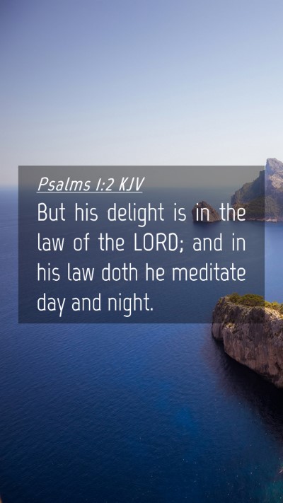 Picture 04 - Psalms 1:2 KJV Mobile Phone Wallpaper - But his delight is in the law of the LORD; and in - Mobile Bible Verse Wallpaper