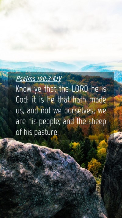 Picture 04 - Psalms 100:3 KJV Mobile Phone Wallpaper - Know ye that the LORD he is God: it is he that - Mobile Bible Verse Wallpaper