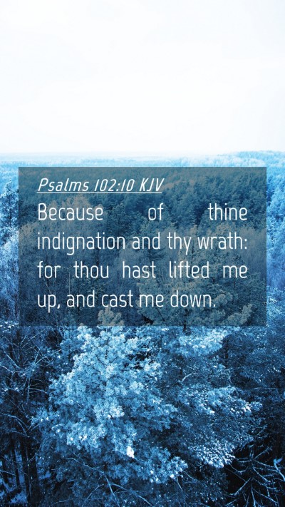 Picture 04 - Psalms 102:10 KJV Mobile Phone Wallpaper - Because of thine indignation and thy wrath: for - Mobile Bible Verse Wallpaper
