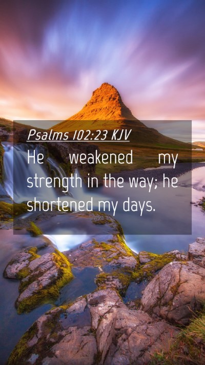 Picture 04 - Psalms 102:23 KJV Mobile Phone Wallpaper - He weakened my strength in the way; he shortened - Mobile Bible Verse Wallpaper