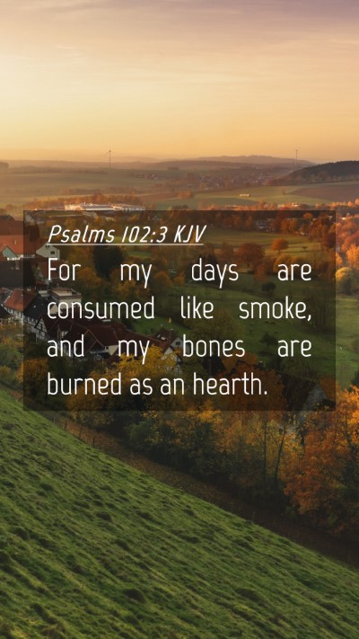Picture 04 - Psalms 102:3 KJV Mobile Phone Wallpaper - For my days are consumed like smoke, and my bones - Mobile Bible Verse Wallpaper