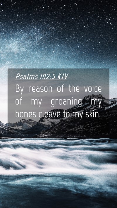 Picture 04 - Psalms 102:5 KJV Mobile Phone Wallpaper - By reason of the voice of my groaning my bones - Mobile Bible Verse Wallpaper