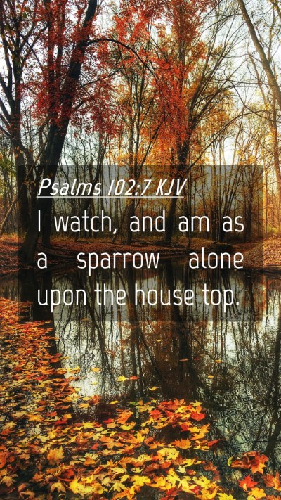 Picture 04 - Psalms 102:7 KJV Mobile Phone Wallpaper - I watch, and am as a sparrow alone upon the house - Mobile Bible Verse Wallpaper