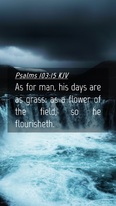 Picture 04 - Psalms 103:15 KJV Mobile Phone Wallpaper - As for man, his days are as grass: as a flower of - Mobile Bible Verse Wallpaper