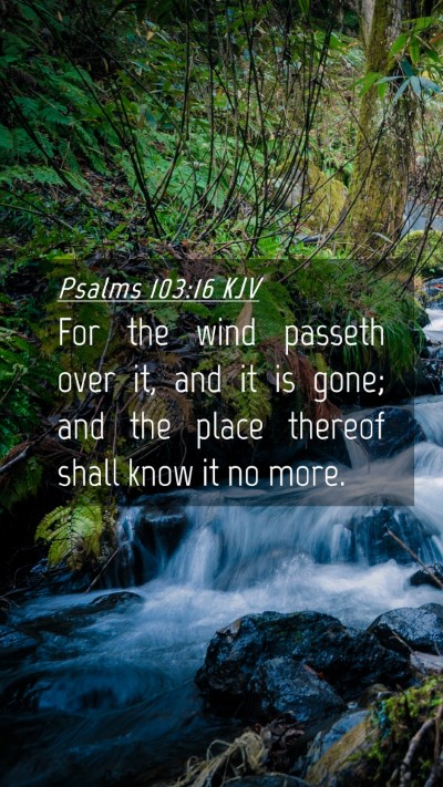 Picture 04 - Psalms 103:16 KJV Mobile Phone Wallpaper - For the wind passeth over it, and it is gone; and - Mobile Bible Verse Wallpaper