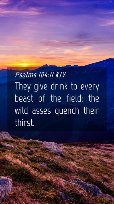Picture 04 - Psalms 104:11 KJV Mobile Phone Wallpaper - They give drink to every beast of the field: the - Mobile Bible Verse Wallpaper