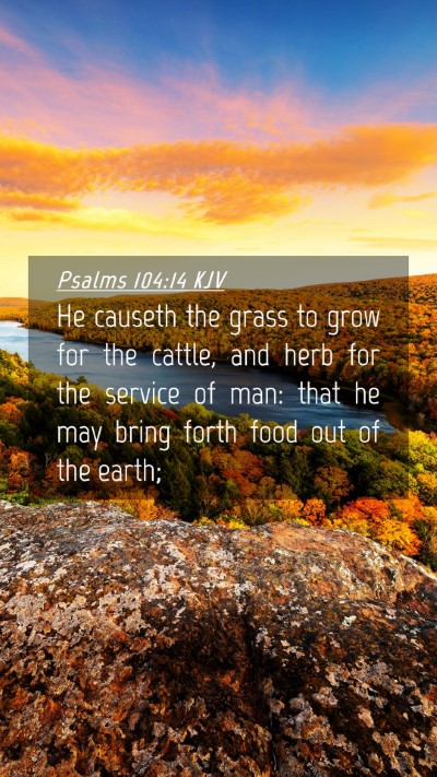 Picture 04 - Psalms 104:14 KJV Mobile Phone Wallpaper - He causeth the grass to grow for the cattle, and - Mobile Bible Verse Wallpaper