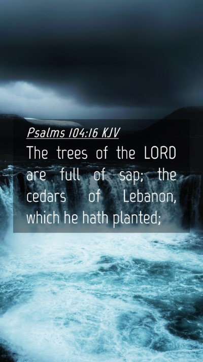 Picture 04 - Psalms 104:16 KJV Mobile Phone Wallpaper - The trees of the LORD are full of sap; the cedars - Mobile Bible Verse Wallpaper