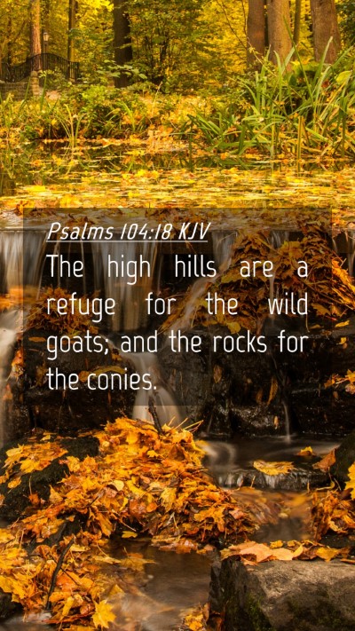 Picture 04 - Psalms 104:18 KJV Mobile Phone Wallpaper - The high hills are a refuge for the wild goats; - Mobile Bible Verse Wallpaper