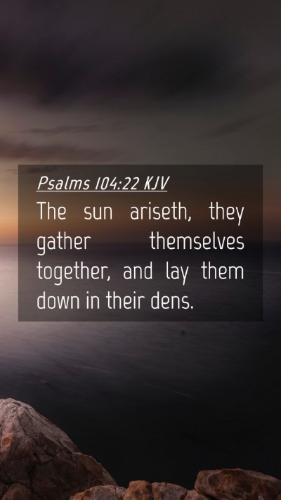 Picture 04 - Psalms 104:22 KJV Mobile Phone Wallpaper - The sun ariseth, they gather themselves together, - Mobile Bible Verse Wallpaper