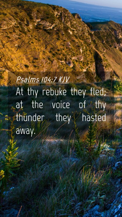 Picture 04 - Psalms 104:7 KJV Mobile Phone Wallpaper - At thy rebuke they fled; at the voice of thy - Mobile Bible Verse Wallpaper
