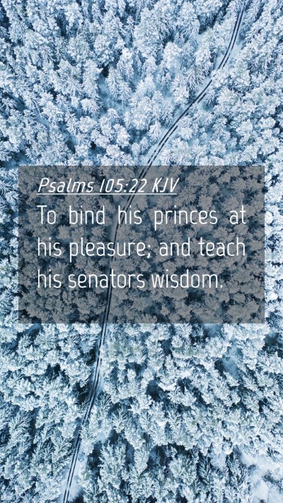 Picture 04 - Psalms 105:22 KJV Mobile Phone Wallpaper - To bind his princes at his pleasure; and teach - Mobile Bible Verse Wallpaper