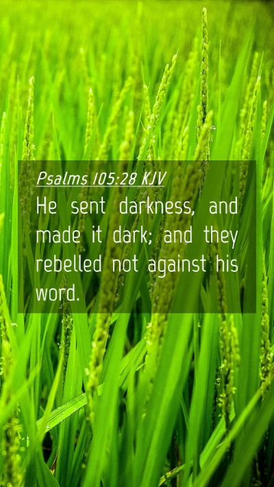 Picture 04 - Psalms 105:28 KJV Mobile Phone Wallpaper - He sent darkness, and made it dark; and they - Mobile Bible Verse Wallpaper