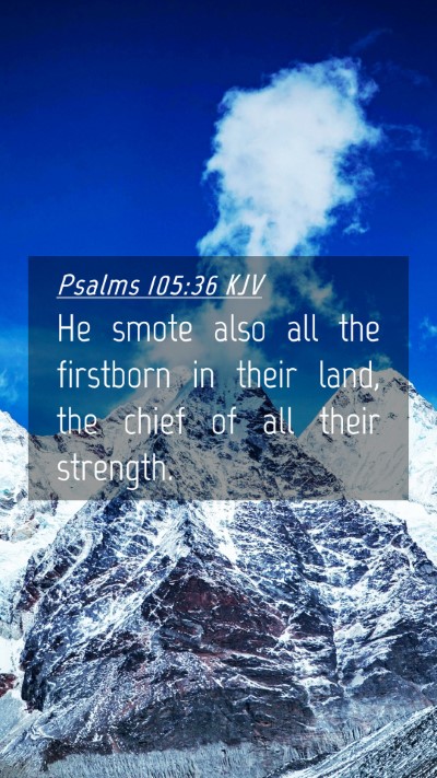 Picture 04 - Psalms 105:36 KJV Mobile Phone Wallpaper - He smote also all the firstborn in their land, - Mobile Bible Verse Wallpaper
