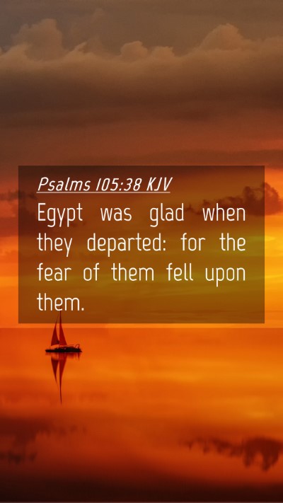 Picture 04 - Psalms 105:38 KJV Mobile Phone Wallpaper - Egypt was glad when they departed: for the fear - Mobile Bible Verse Wallpaper