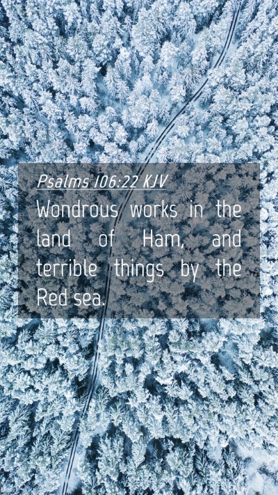 Picture 04 - Psalms 106:22 KJV Mobile Phone Wallpaper - Wondrous works in the land of Ham, and terrible - Mobile Bible Verse Wallpaper