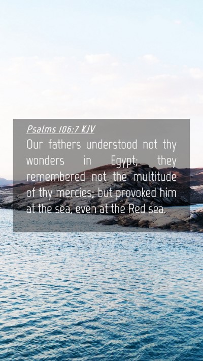 Picture 04 - Psalms 106:7 KJV Mobile Phone Wallpaper - Our fathers understood not thy wonders in Egypt; - Mobile Bible Verse Wallpaper