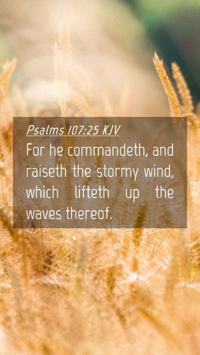 Picture 04 - Psalms 107:25 KJV Mobile Phone Wallpaper - For he commandeth, and raiseth the stormy wind, - Mobile Bible Verse Wallpaper
