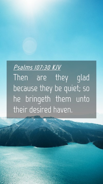 Picture 04 - Psalms 107:30 KJV Mobile Phone Wallpaper - Then are they glad because they be quiet; so he - Mobile Bible Verse Wallpaper