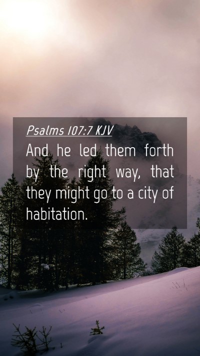 Picture 04 - Psalms 107:7 KJV Mobile Phone Wallpaper - And he led them forth by the right way, that they - Mobile Bible Verse Wallpaper