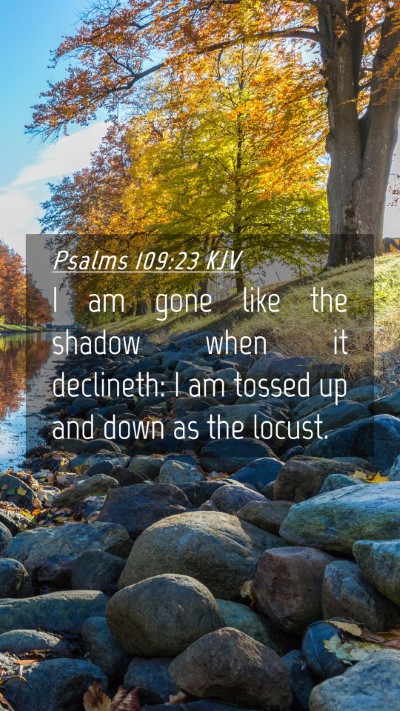 Picture 04 - Psalms 109:23 KJV Mobile Phone Wallpaper - I am gone like the shadow when it declineth: I am - Mobile Bible Verse Wallpaper