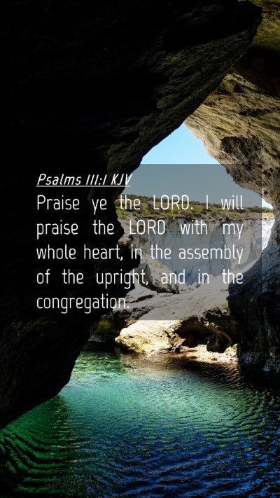 Picture 04 - Psalms 111:1 KJV Mobile Phone Wallpaper - Praise ye the LORD. I will praise the LORD with - Mobile Bible Verse Wallpaper