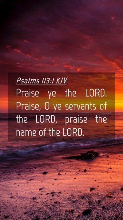 Picture 04 - Psalms 113:1 KJV Mobile Phone Wallpaper - Praise ye the LORD. Praise, O ye servants of the - Mobile Bible Verse Wallpaper