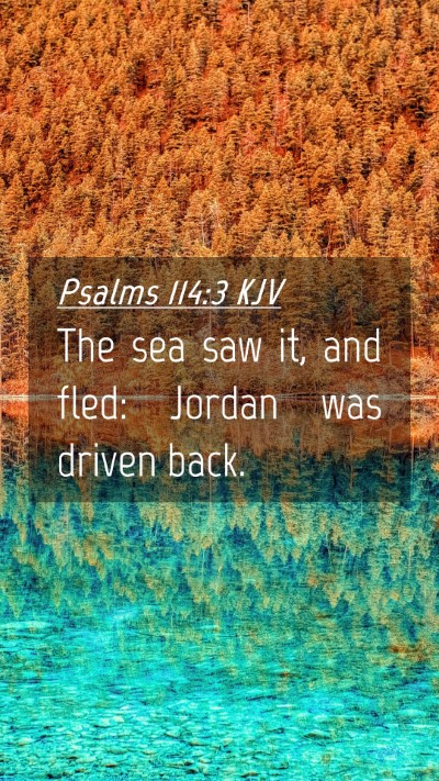 Picture 04 - Psalms 114:3 KJV Mobile Phone Wallpaper - The sea saw it, and fled: Jordan was driven - Mobile Bible Verse Wallpaper