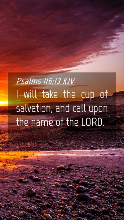 Picture 04 - Psalms 116:13 KJV Mobile Phone Wallpaper - I will take the cup of salvation, and call upon - Mobile Bible Verse Wallpaper