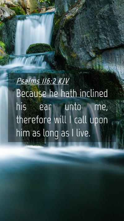 Picture 04 - Psalms 116:2 KJV Mobile Phone Wallpaper - Because he hath inclined his ear unto me, - Mobile Bible Verse Wallpaper