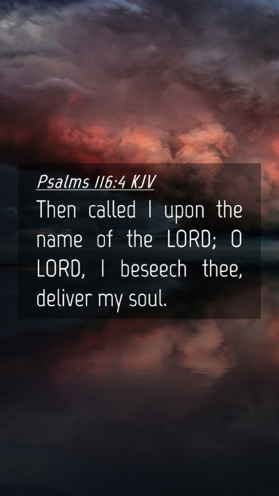 Picture 04 - Psalms 116:4 KJV Mobile Phone Wallpaper - Then called I upon the name of the LORD; O LORD, - Mobile Bible Verse Wallpaper
