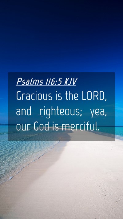 Picture 04 - Psalms 116:5 KJV Mobile Phone Wallpaper - Gracious is the LORD, and righteous; yea, our God - Mobile Bible Verse Wallpaper