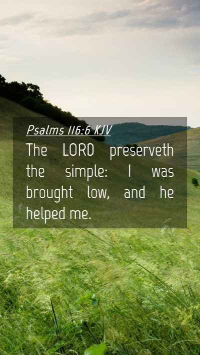 Picture 04 - Psalms 116:6 KJV Mobile Phone Wallpaper - The LORD preserveth the simple: I was brought - Mobile Bible Verse Wallpaper