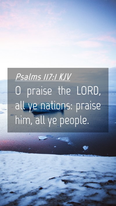 Picture 04 - Psalms 117:1 KJV Mobile Phone Wallpaper - O praise the LORD, all ye nations: praise him, - Mobile Bible Verse Wallpaper