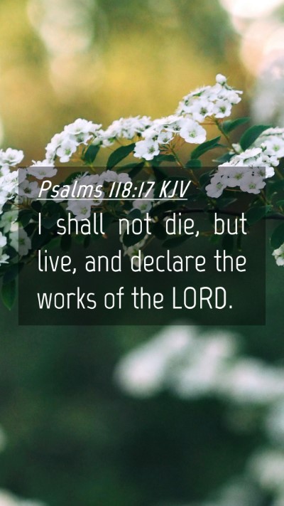 Picture 04 - Psalms 118:17 KJV Mobile Phone Wallpaper - I shall not die, but live, and declare the works - Mobile Bible Verse Wallpaper