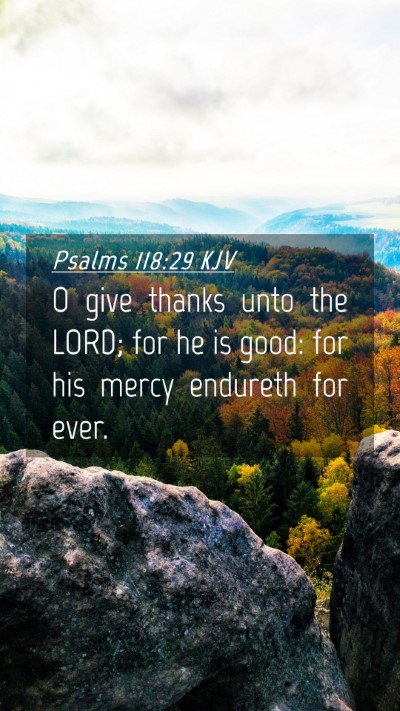 Picture 04 - Psalms 118:29 KJV Mobile Phone Wallpaper - O give thanks unto the LORD; for he is good: for - Mobile Bible Verse Wallpaper