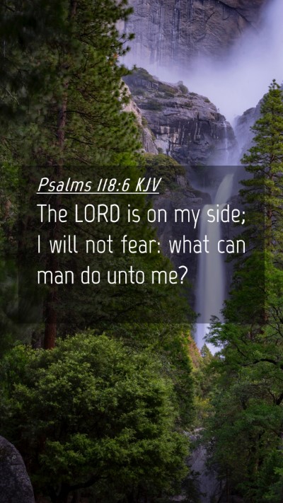 Picture 04 - Psalms 118:6 KJV Mobile Phone Wallpaper - The LORD is on my side; I will not fear: what can - Mobile Bible Verse Wallpaper