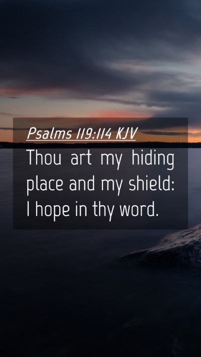 Picture 04 - Psalms 119:114 KJV Mobile Phone Wallpaper - Thou art my hiding place and my shield: I hope in - Mobile Bible Verse Wallpaper