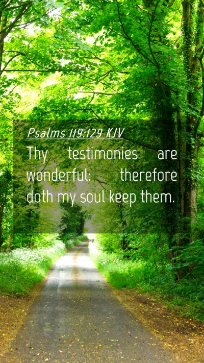 Picture 04 - Psalms 119:129 KJV Mobile Phone Wallpaper - Thy testimonies are wonderful: therefore doth my - Mobile Bible Verse Wallpaper