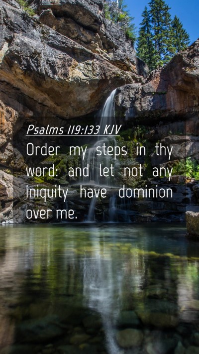 Picture 04 - Psalms 119:133 KJV Mobile Phone Wallpaper - Order my steps in thy word: and let not any - Mobile Bible Verse Wallpaper