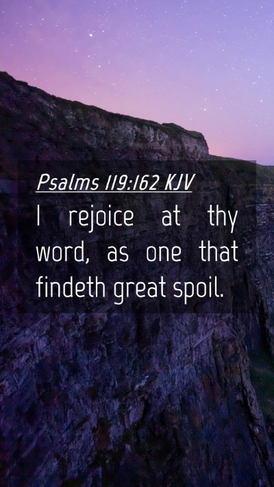 Picture 04 - Psalms 119:162 KJV Mobile Phone Wallpaper - I rejoice at thy word, as one that findeth great - Mobile Bible Verse Wallpaper