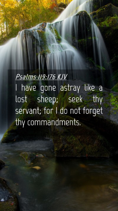 Picture 04 - Psalms 119:176 KJV Mobile Phone Wallpaper - I have gone astray like a lost sheep; seek thy - Mobile Bible Verse Wallpaper