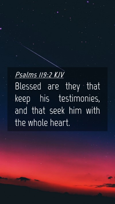 Picture 04 - Psalms 119:2 KJV Mobile Phone Wallpaper - Blessed are they that keep his testimonies, and - Mobile Bible Verse Wallpaper