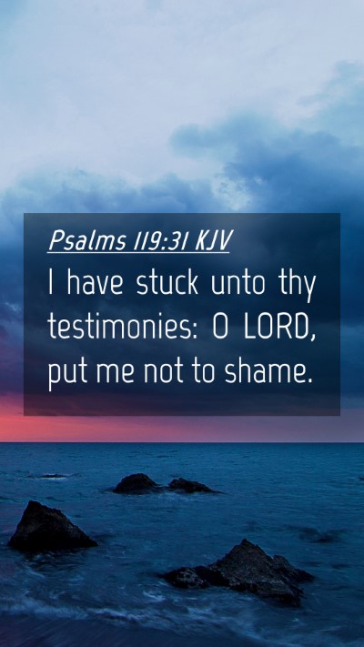 Picture 04 - Psalms 119:31 KJV Mobile Phone Wallpaper - I have stuck unto thy testimonies: O LORD, put me - Mobile Bible Verse Wallpaper