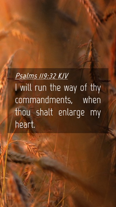 Picture 04 - Psalms 119:32 KJV Mobile Phone Wallpaper - I will run the way of thy commandments, when thou - Mobile Bible Verse Wallpaper